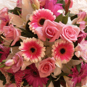 Pastel Posy Bowl
