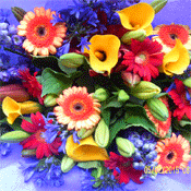 Colour Wheel