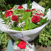 Red Roses