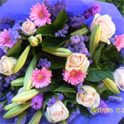Lady Lavender Rose