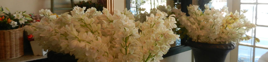 Four Seasons Florist, Newtown Wellington New Zealand